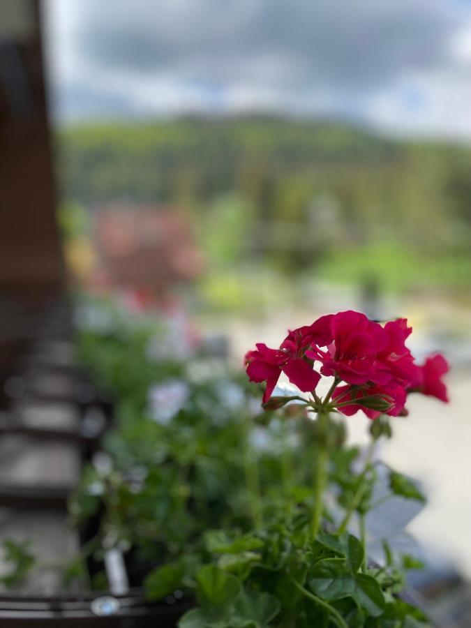 Hotel Nosal Ski & Wine Закопане Экстерьер фото